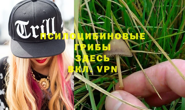 MDMA Ельня