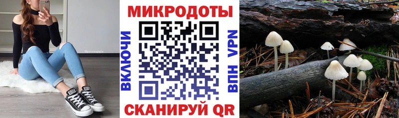 Купить закладки  Ростов-на-Дону  Галлюциногенные грибы GOLDEN TEACHER 